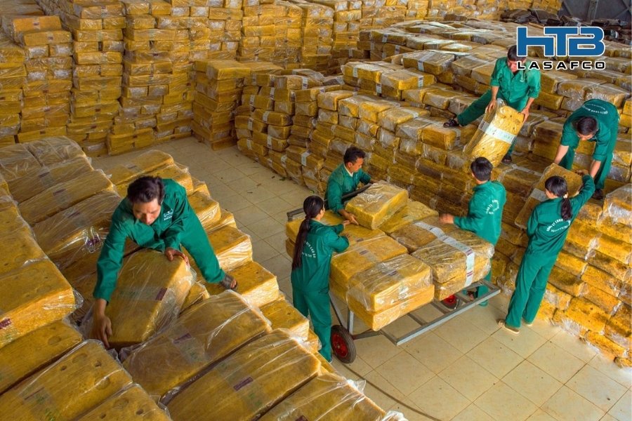 ATVSLĐ Trong Chế Biến Mủ Nhựa: Nhận Diện Nguy Cơ Và Chiến Lược Đào Tạo 2026