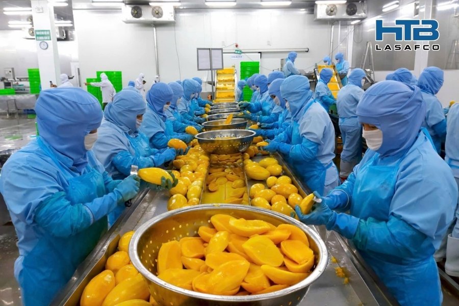 ATVSLĐ Trong Sản Xuất Thực Phẩm: Những Rủi Ro Phải Đối Mặt Và Cách Phòng Ngừa